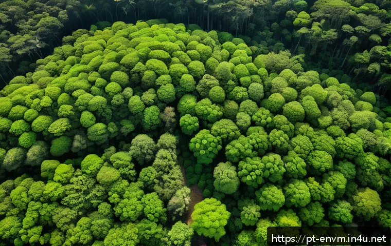 Como os profissionais de gestão ambiental utilizam ferramentas de monitoramento para transformar dados em ações sustentáveis 3 환경관리사와 환경 모니터링 도구 관련 이미지 1